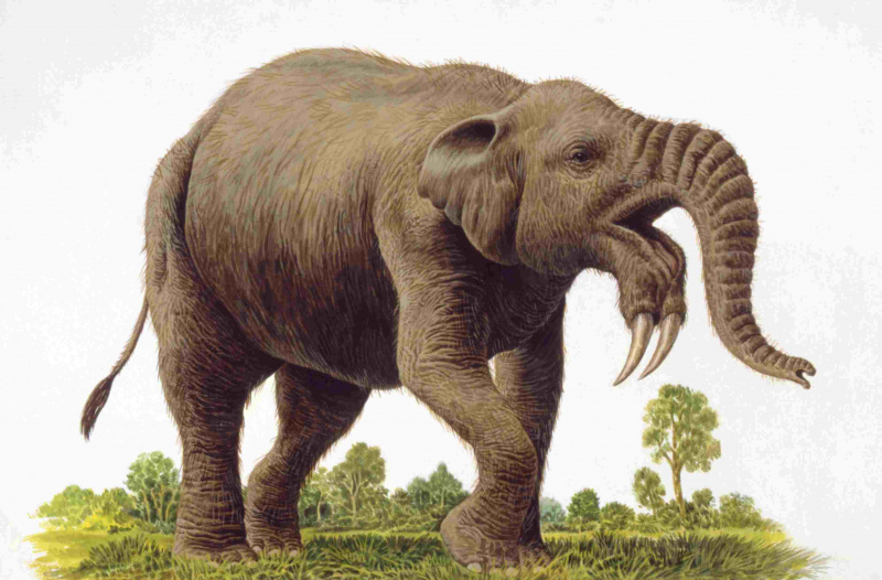 Ilustracja deinotherium (trąbowce)