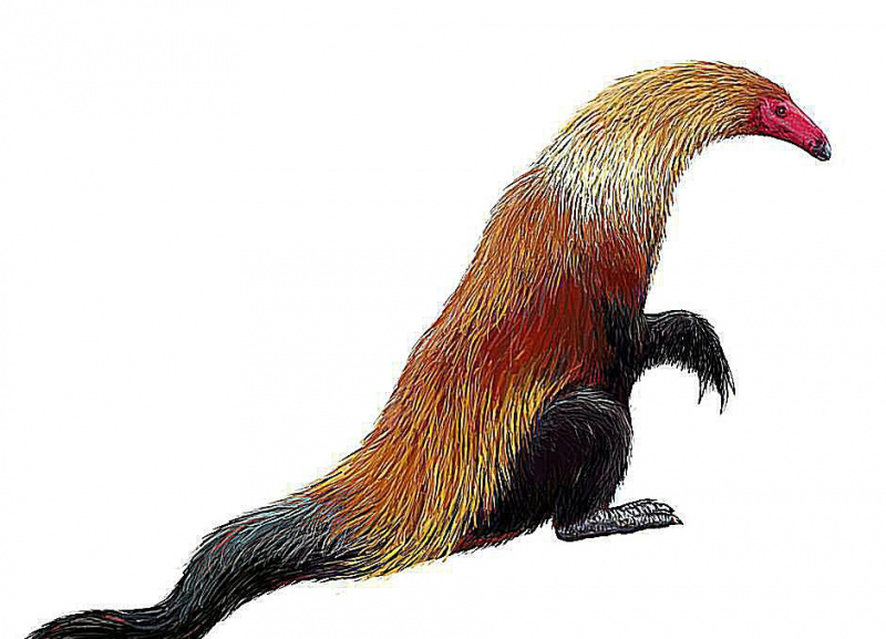 neimongosaurus
