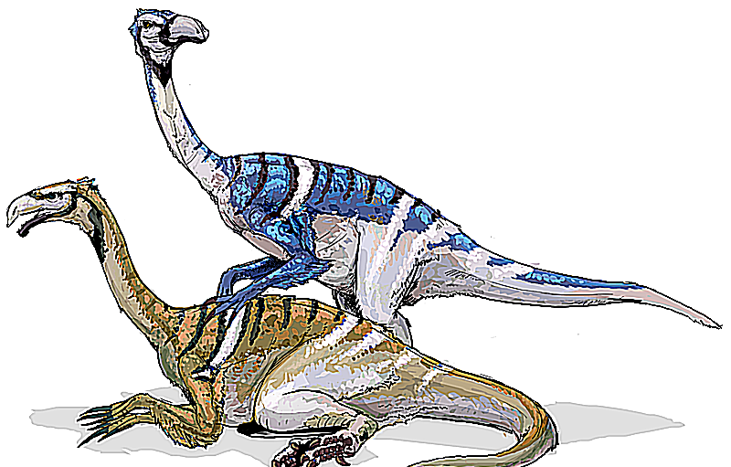 nanshiungosaurus