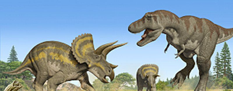 tiranossauro rex triceratops