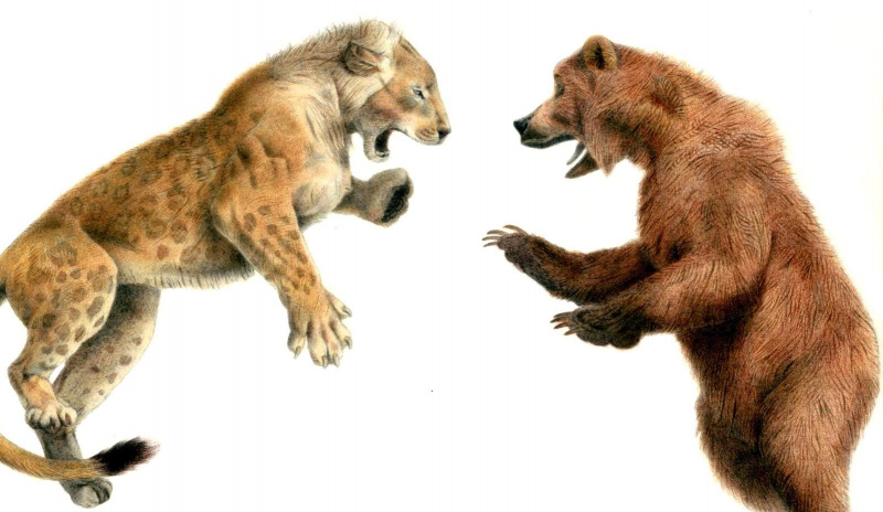 urso das cavernas leão das cavernas