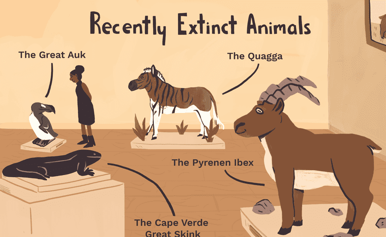 最近絶滅した動物