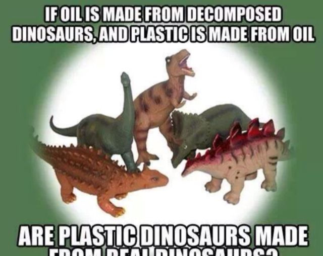 ディノメメ2.jpg