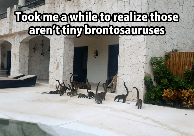dinomeme6.png