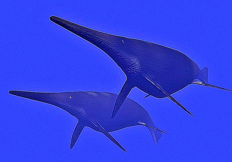 shonisaurus