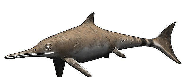ictiossauro