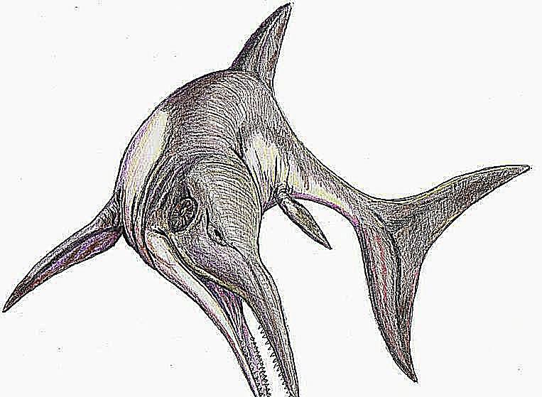 platipterígio