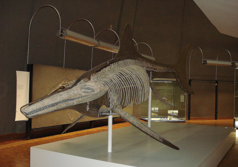 temnodontosaurus