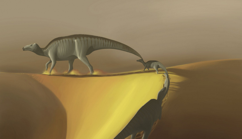 Dinossauros Huaxiaosaurus aigahtens migram através de um deserto estéril