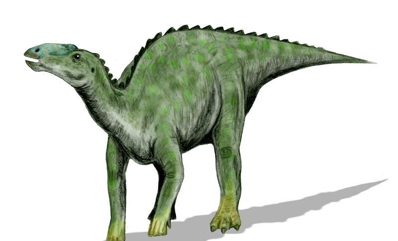 Kritosaurus Navajovius