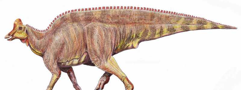 Ilustração do Angulomastacator