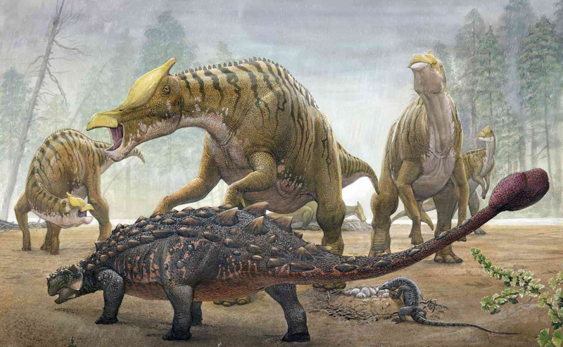 Saurolophus