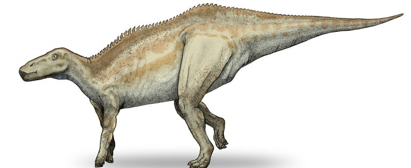 Shantungosaurus