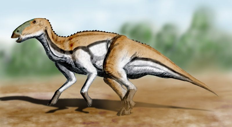 Tetisdros