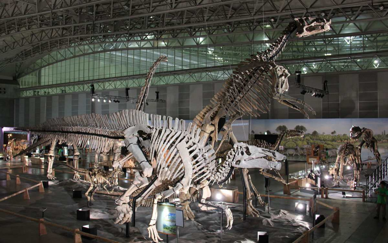 Zhuchengosaurus e Shantungosaurus