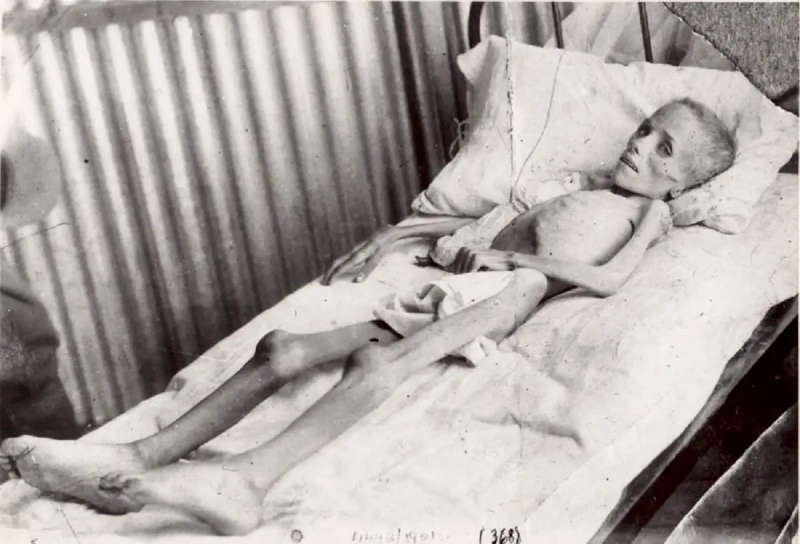   lizzie van zyl