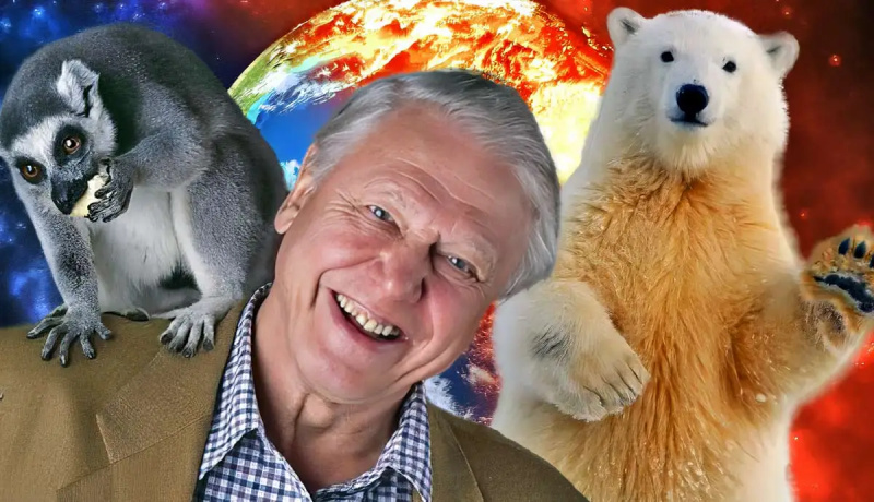 kim jest sir David Attenborough