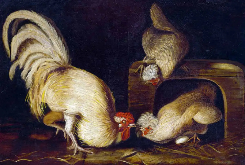   Farmyard Fowls, John James Audubon, 1827. Sursa: Galeria Națională de Artă