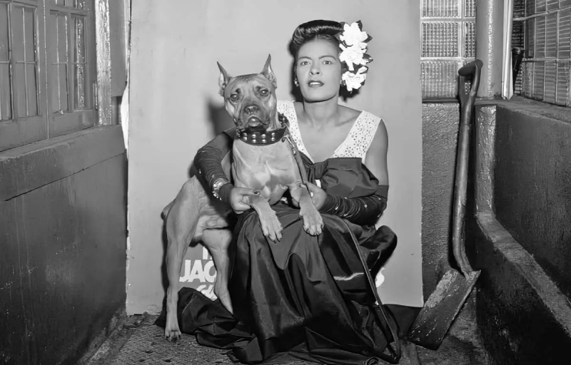   pasji pratioci billie holliday pas