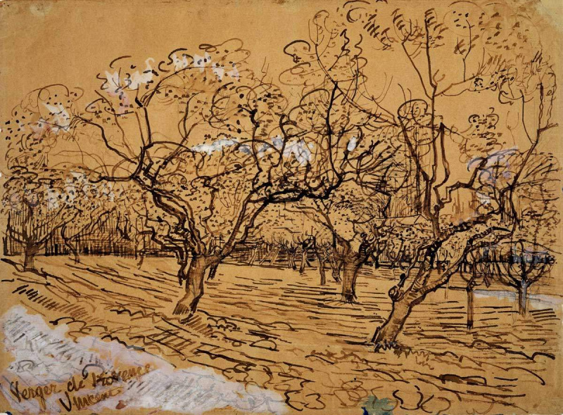 provencelainen hedelmätarha vincent van gogh