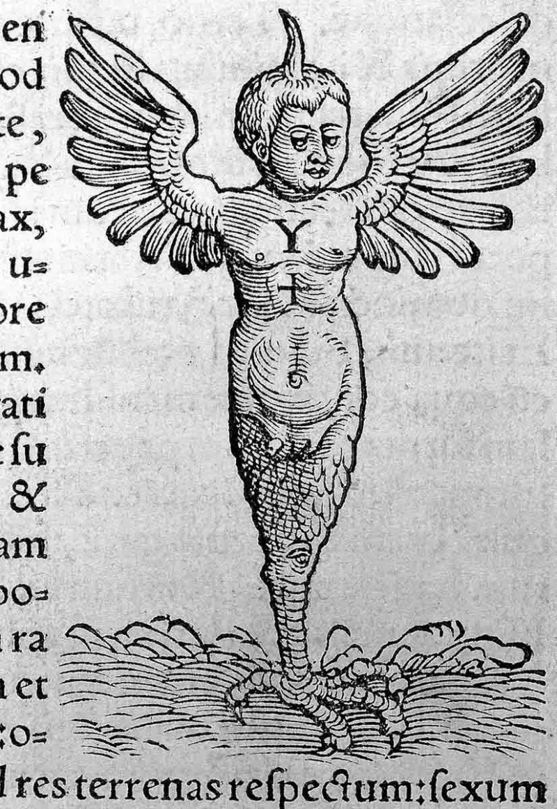   monstru christophorus froschoverus ravenna