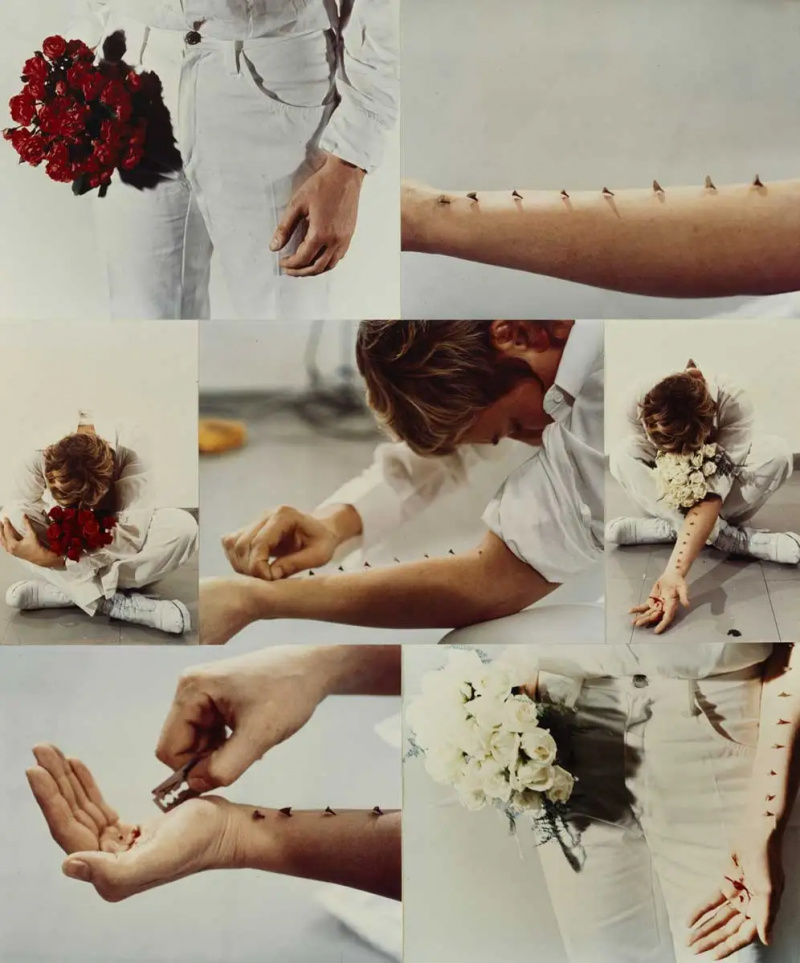   artiste du corps gina pane action sentimentale