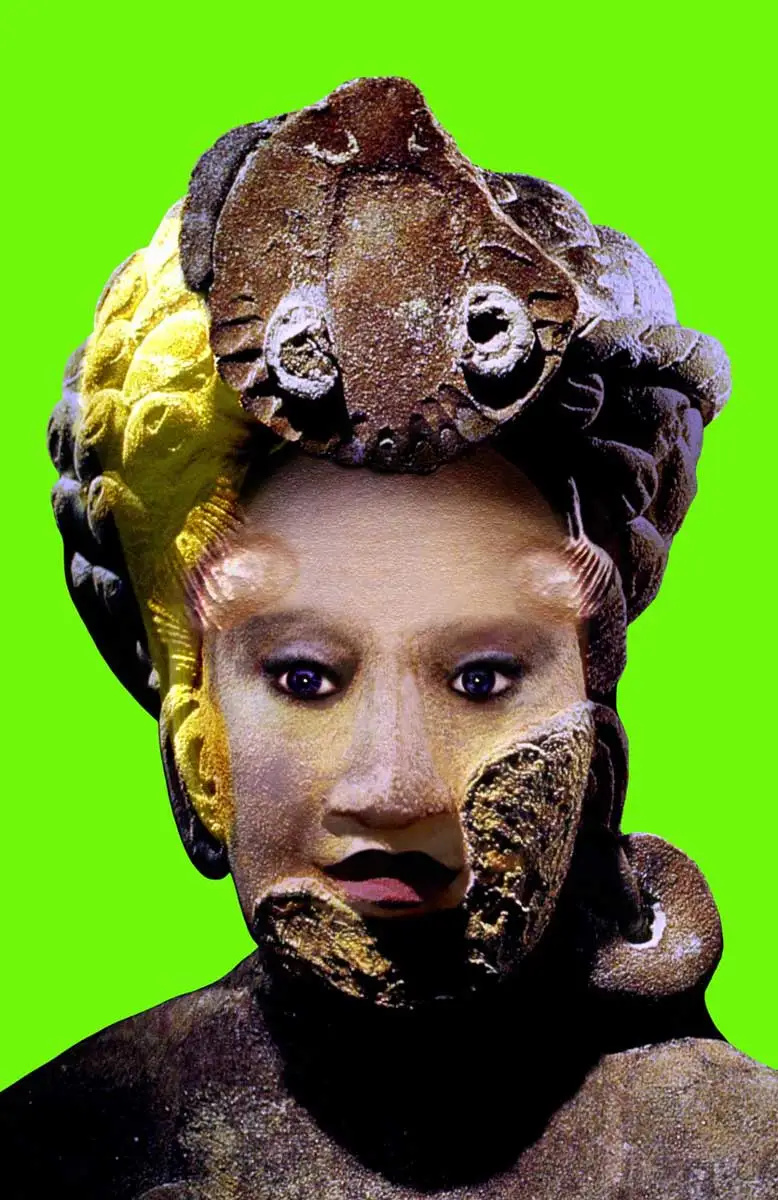   orlan défiguration refiguration