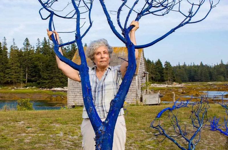 ilmastonmuutos rahmani blued trees sinfonia 2015