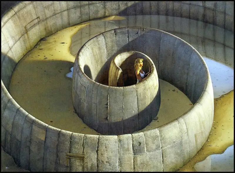   michael whelan azil