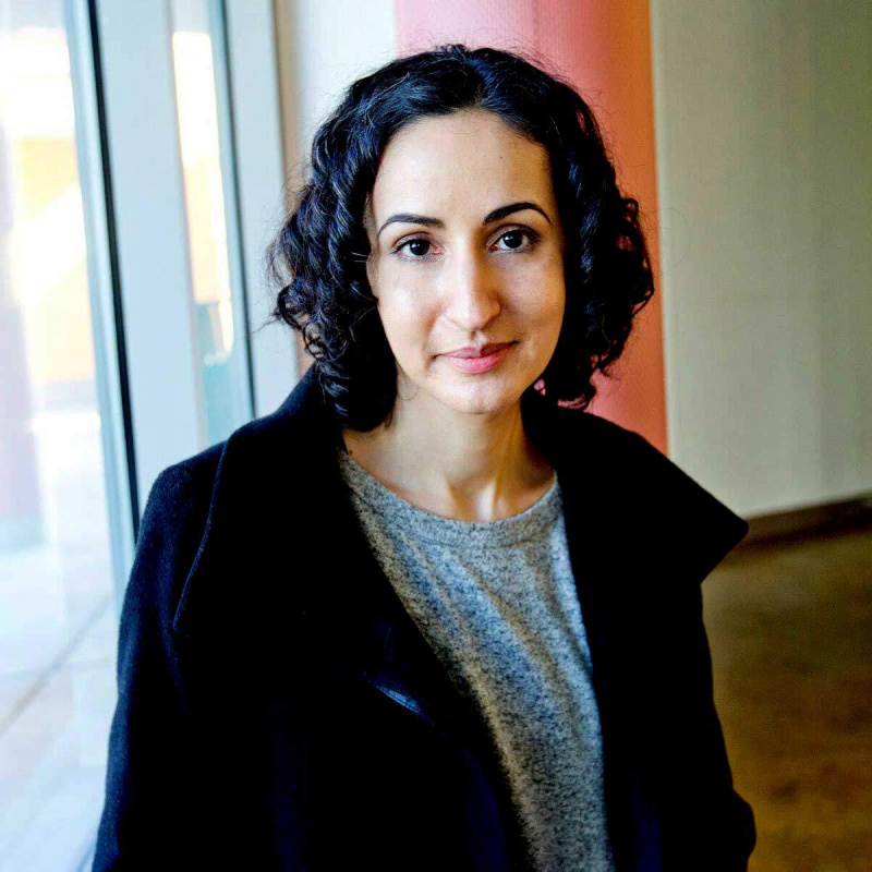   mariam ghani južnoazijska umjetnica