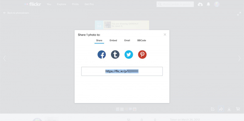 Udostępniany adres URL na Flickr