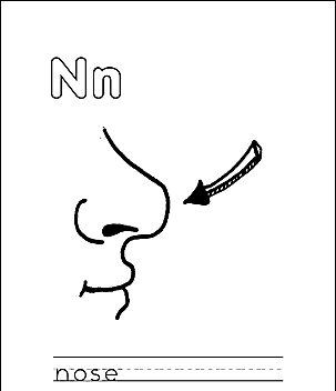 Burts N 9