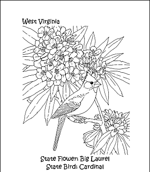 Uccello e fiore dello stato del Virginia Occidentale.