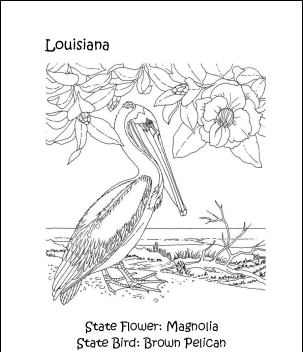 Louisiana State Bird and Flower Coloring Page