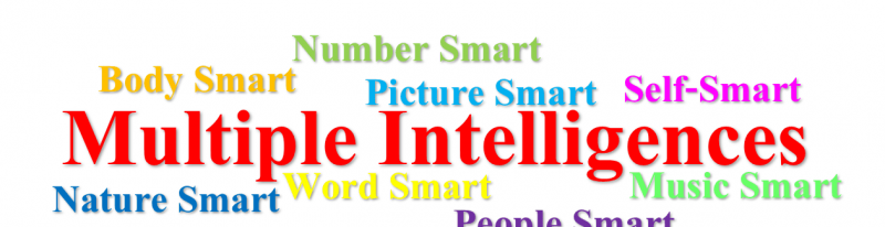 Flere intelligenser