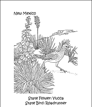 New Mexico State Bird and Flower Coloring Page