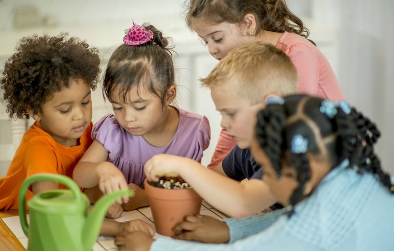 Kinder lernen, Pflanzen zu pflanzen und zu pflegen