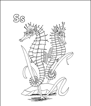 Caballito de Mar Imprimibles 3