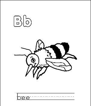 Litera B 8