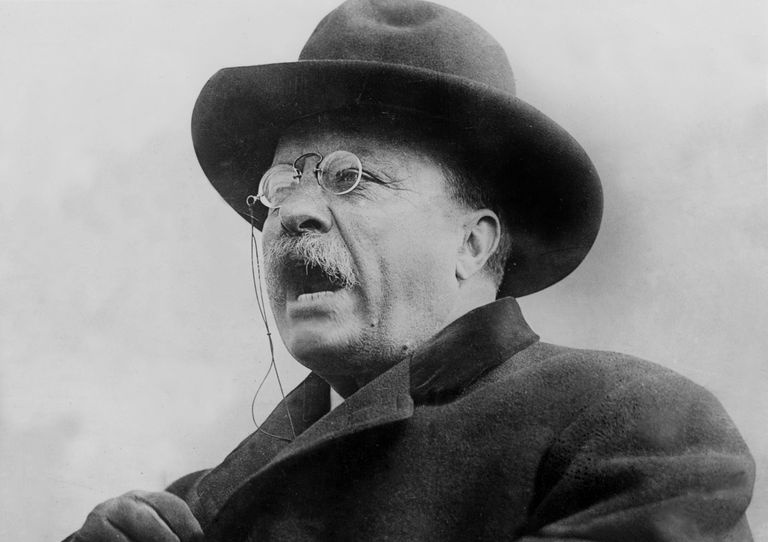 Impressões de Theodore Roosevelt
