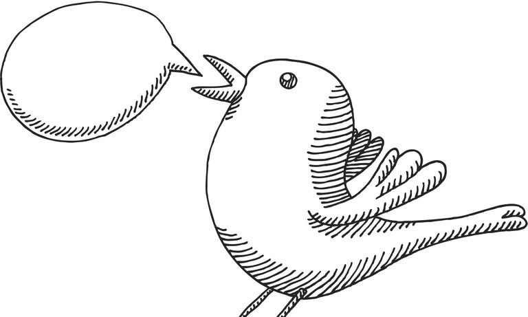 Twitter Bird