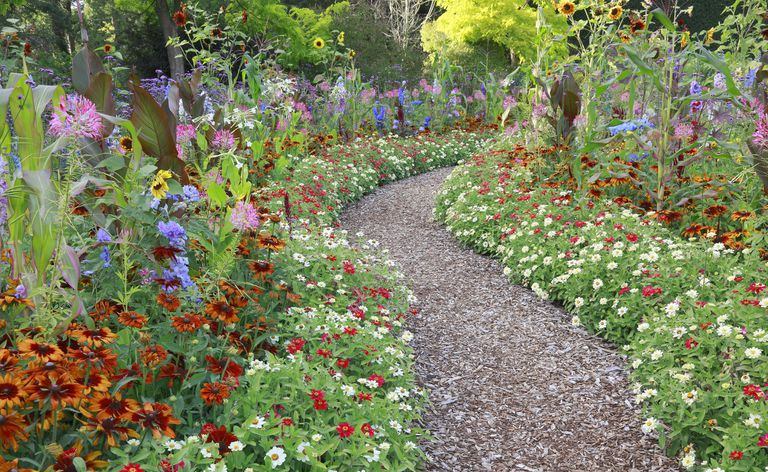 Gran jardín de flores de verano