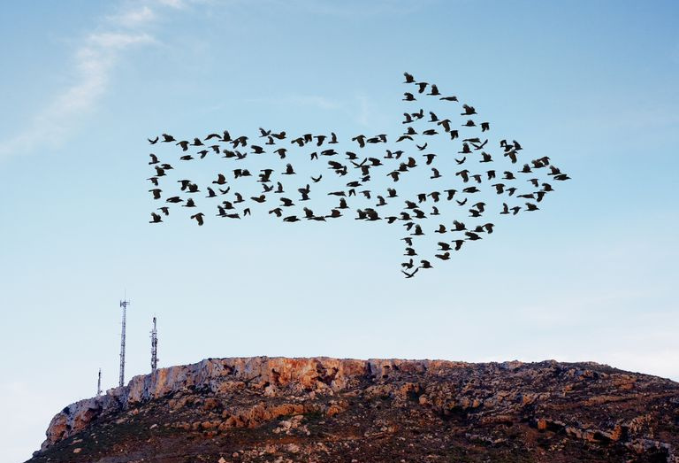 Pájaros volando en formación de flechas sobre antenas.