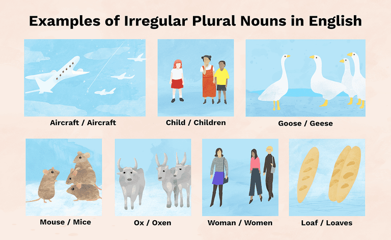 Exemplos de substantivos plurais irregulares em inglês