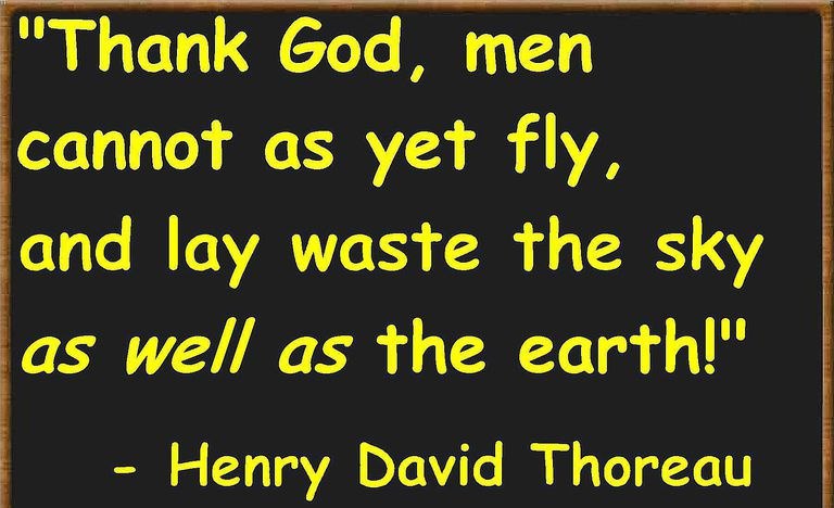 cita de Thoreau