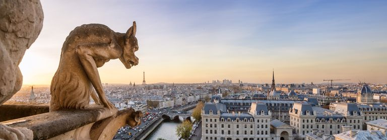 Panoramiczny gargulca Notre Dame i miasta Paryż