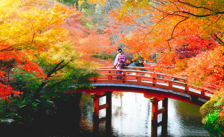 Parque de otoño, Japón