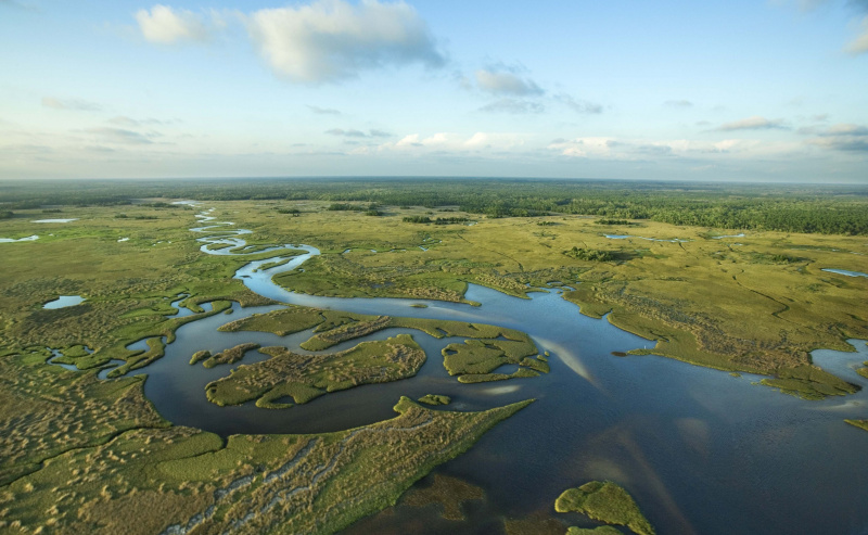 Vue aérienne des Everglades de Floride