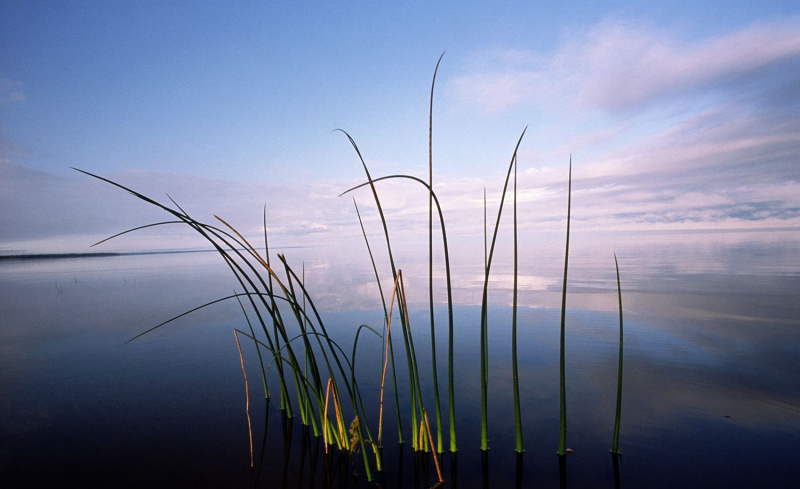 Upper Red Lake, en el norte de Minnesota, finales de verano