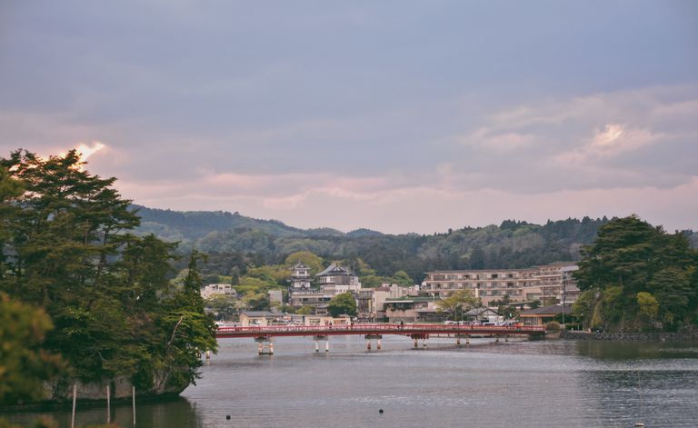 Vista Panoramica Del Fiume Da Alberi Contro Il Cielo